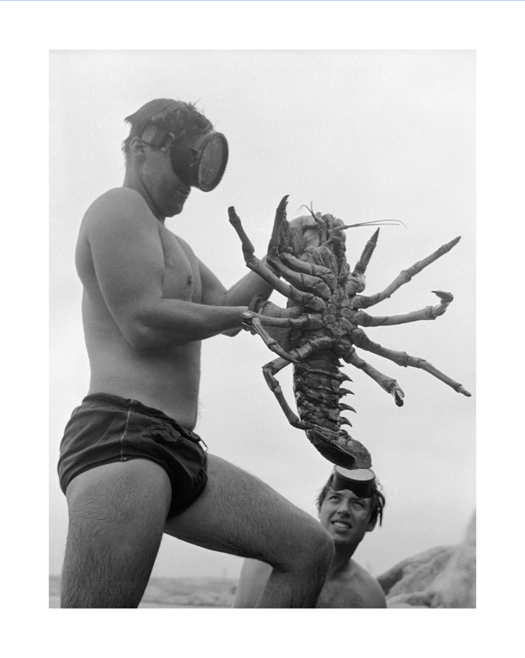 California Lobster Print