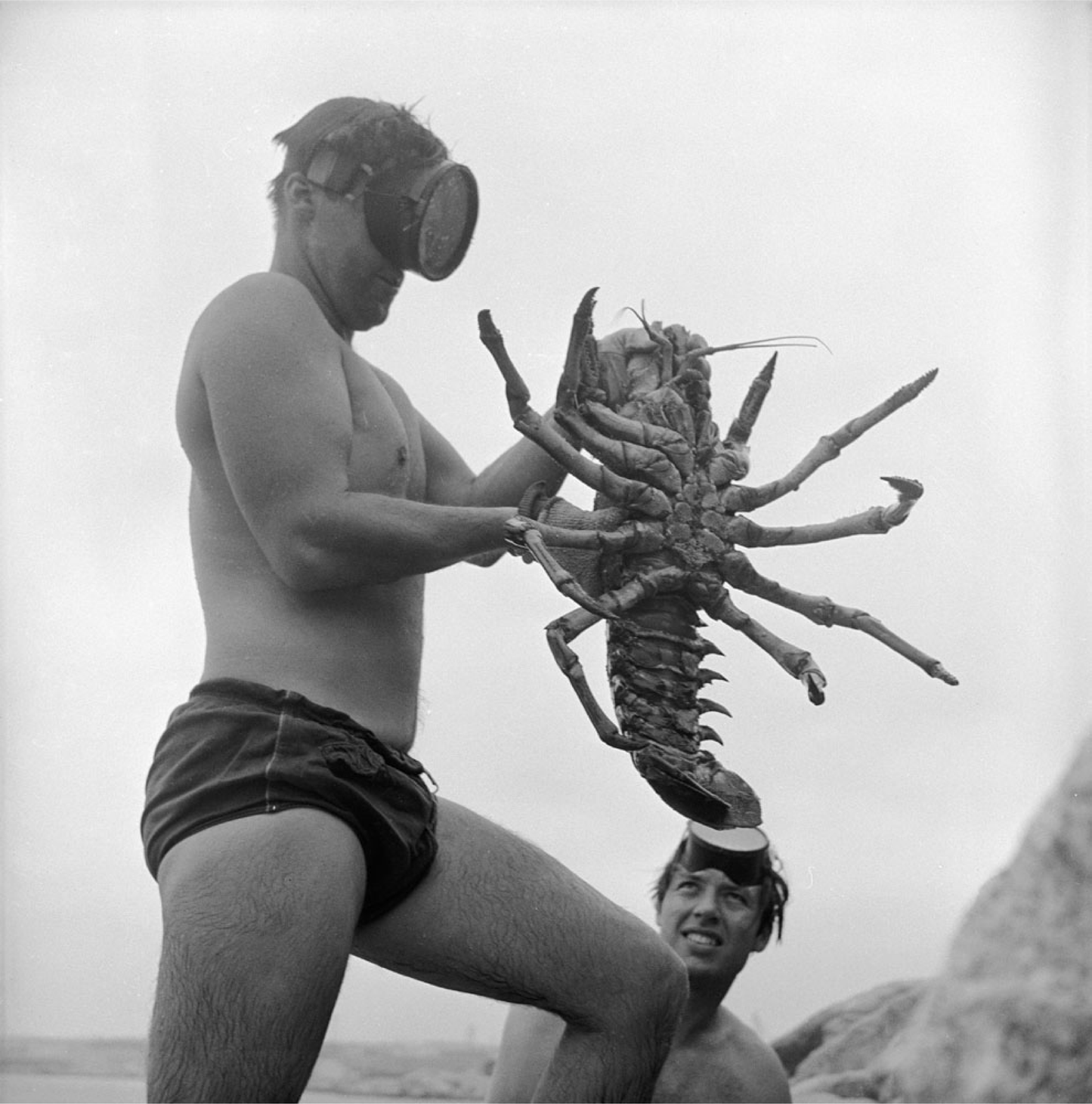California Lobster Print