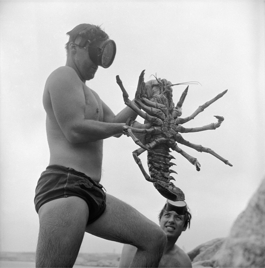 California Lobster Print